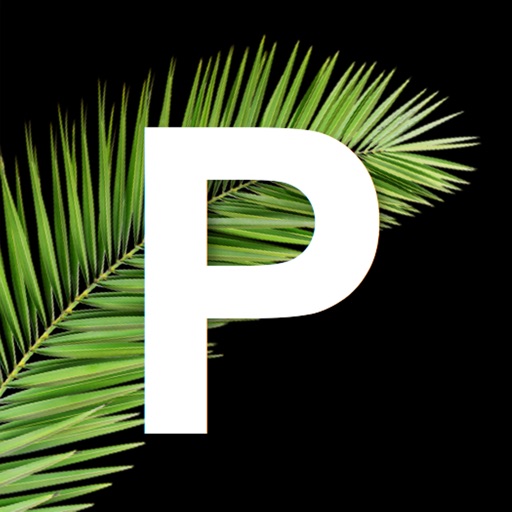 Palmwood Church App icon