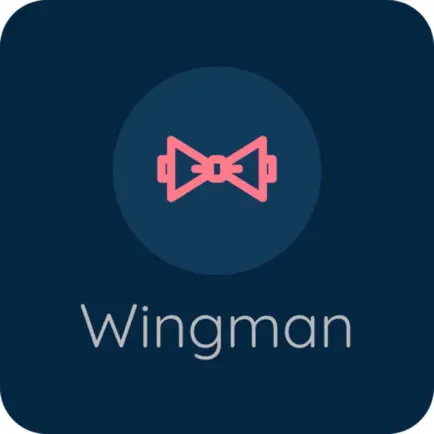 Pocket Wingman Читы