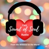 The Sound of Soul icon