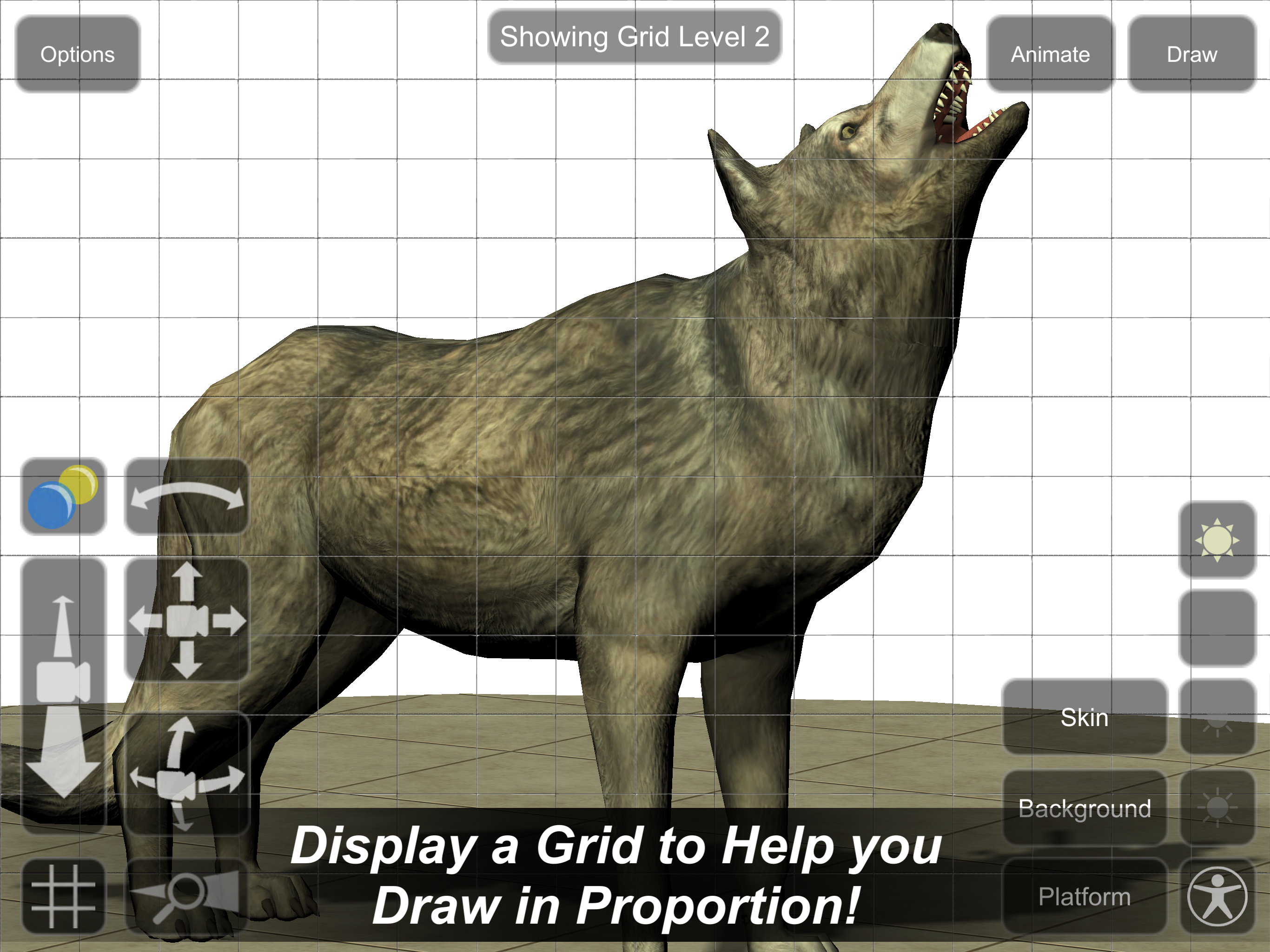 Wolf Mannequin