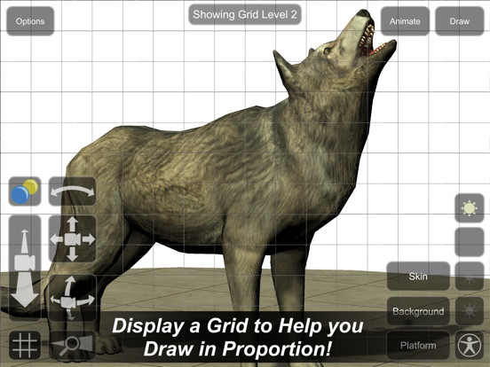 Wolf Mannequin iPad screenshot 4 - Education app