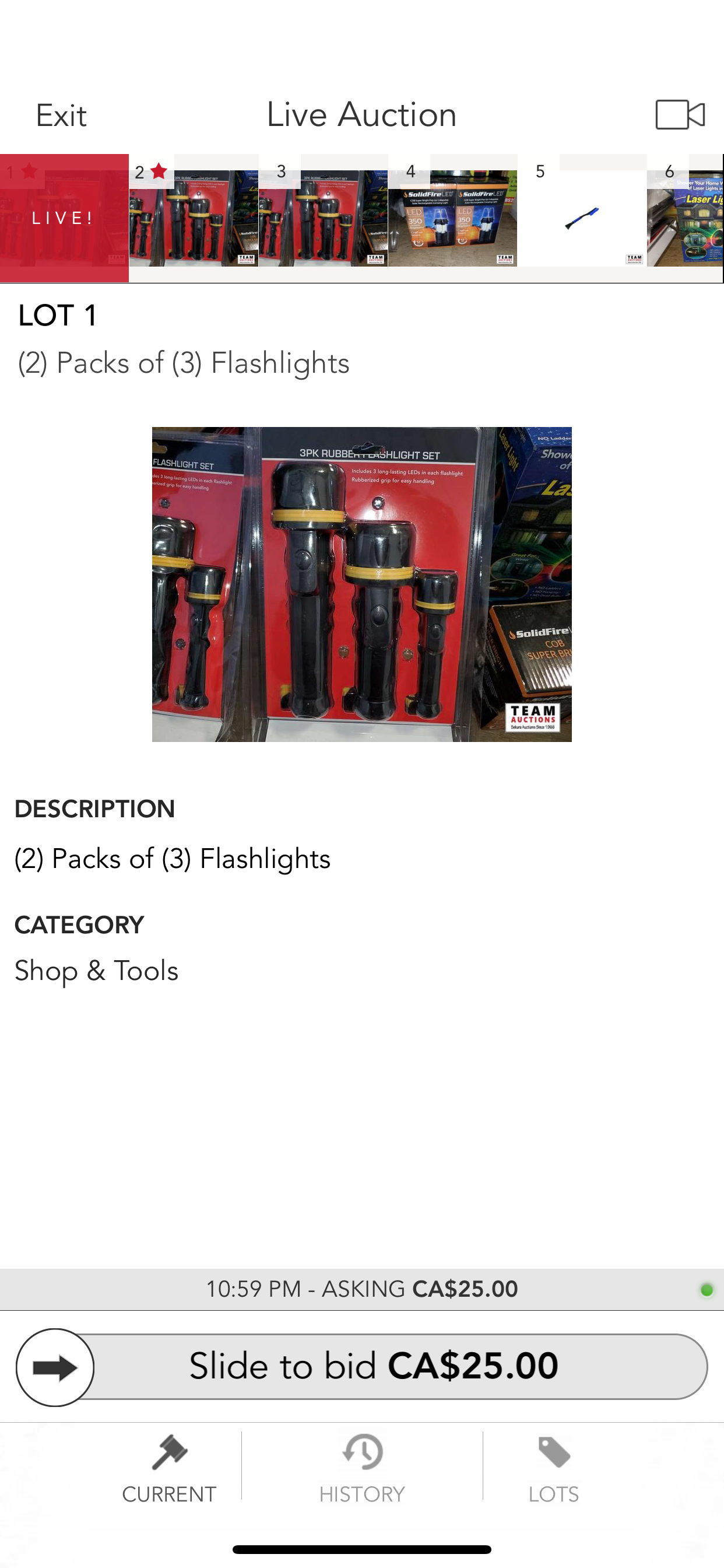Team Auctions screenshot 3