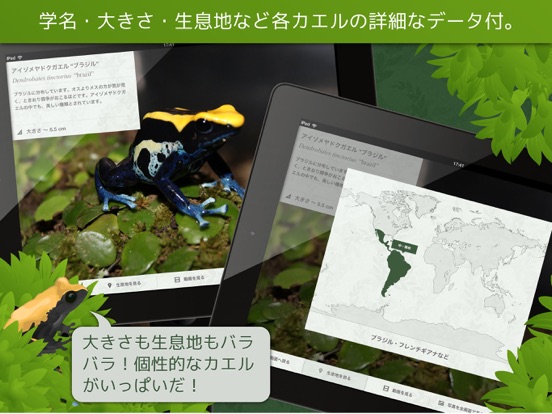 Screenshot #6 pour あわしま世界のカエル図鑑