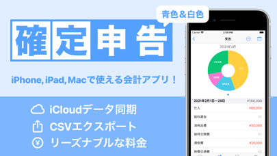 確定申告 マネライズ - 個人事業主の会計ソフトと青色申告のおすすめ画像1