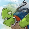 Bungee Turtle icon