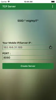 tcp server iphone screenshot 1