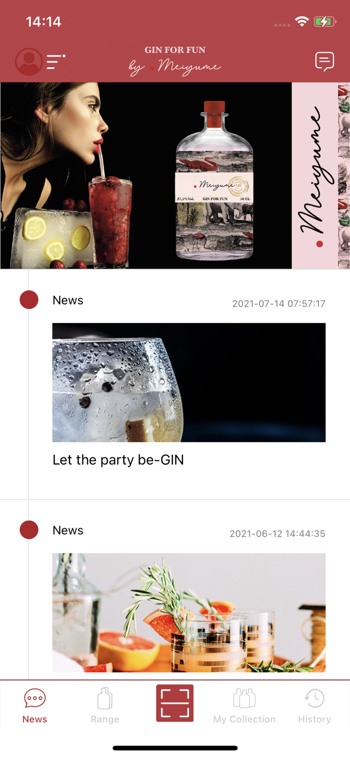 Gin For Fun