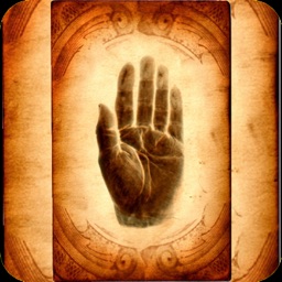 Palm Reading Chart - Hand Scan