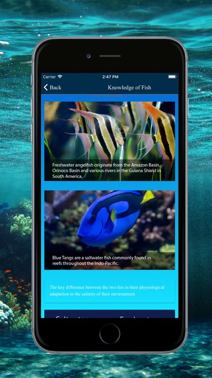 East Aqua Studio screenshot-3