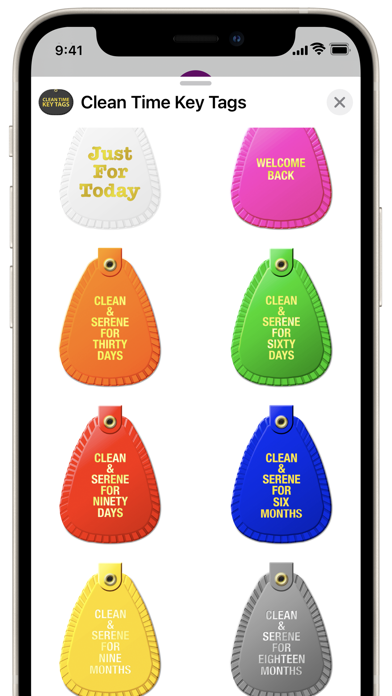 Screenshot #3 pour Clean Time Key Tags