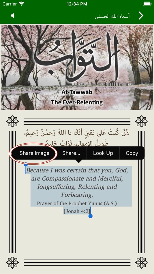 #6. Ninety Nine Names of Allah (iOS) 게시자: Al Kalima