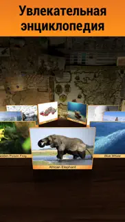 geo walk: Большая энциклопедия айфон картинки 4