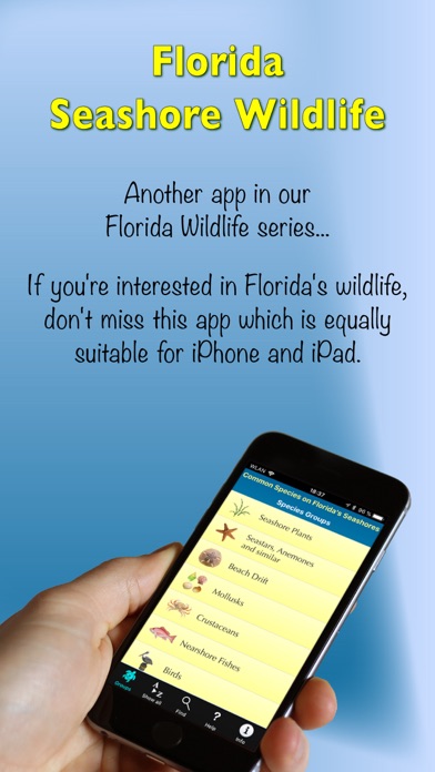 Florida Seashore Wildlife Screenshot