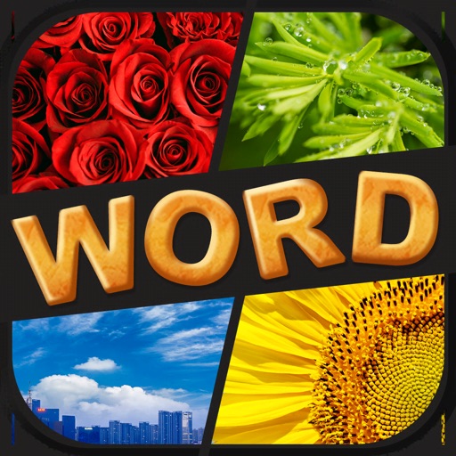 4 Pics 1 Word Cookie iOS App