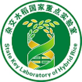 Snímky obrazovky (3) 杂交水稻重点实验室