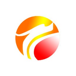 Stock multi-function tool