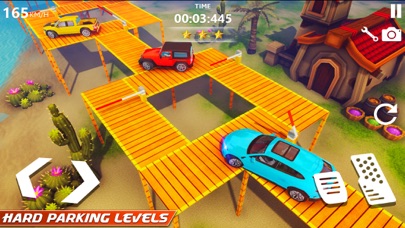 Prado Car Bridge Parking Game Screenshot