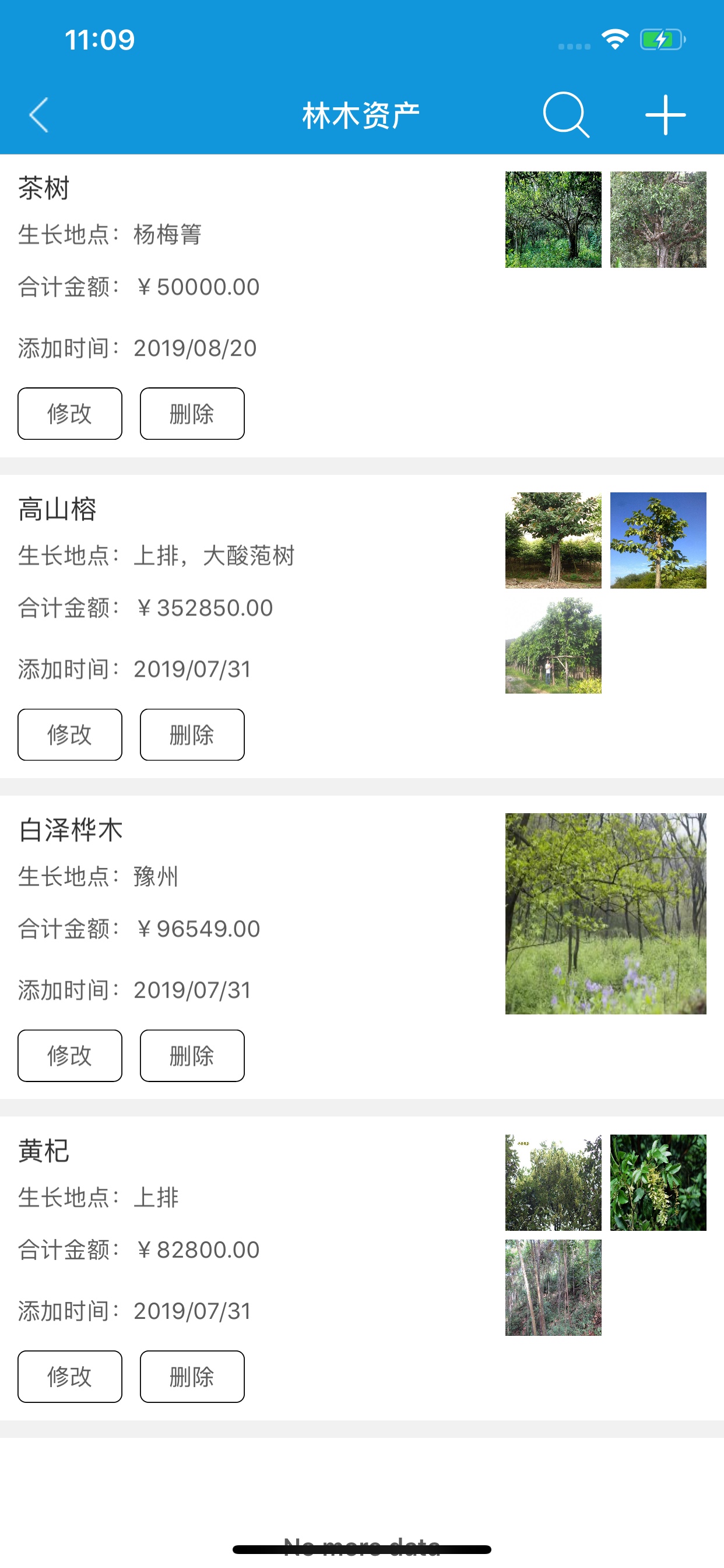 集体资产管理