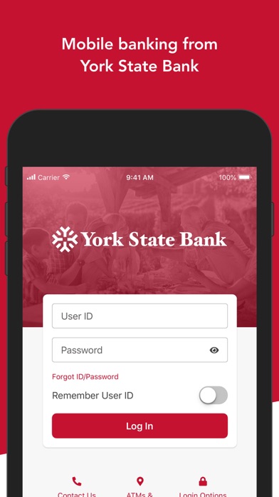York State Bank Screenshot