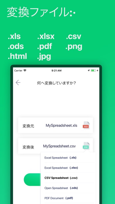 ss1