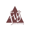 FIG Marketing icon