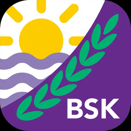BSK Parent Cheats