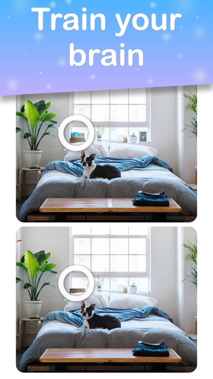Spot 5 Differences: Find them! screenshot-4