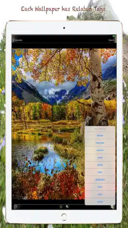 Game screenshot Nature Wallpapers & Background apk