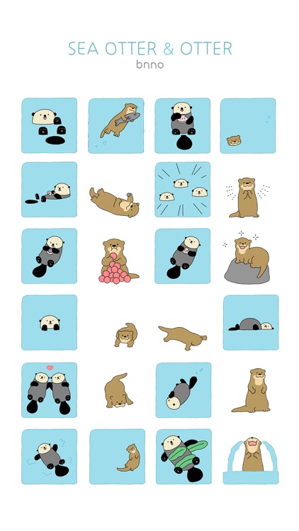 Sea Otter & Otter