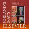 Dorland’s Medical Dictionary problems & troubleshooting and solutions