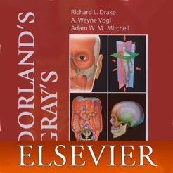 dorland medical dictionary for iphone