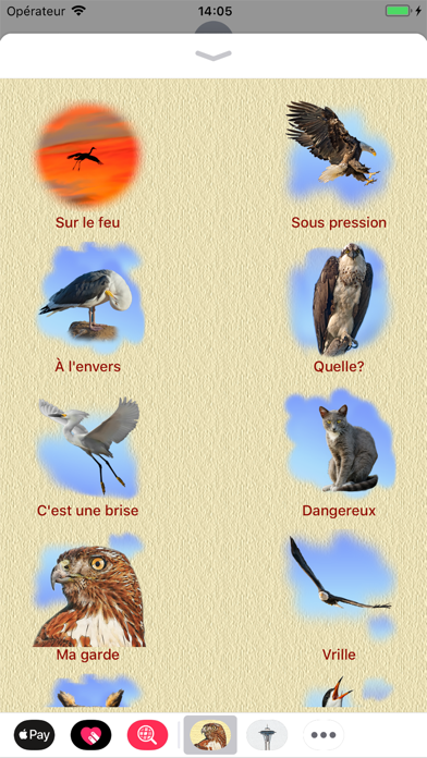 Screenshot #3 pour Birds for Words for iMessage