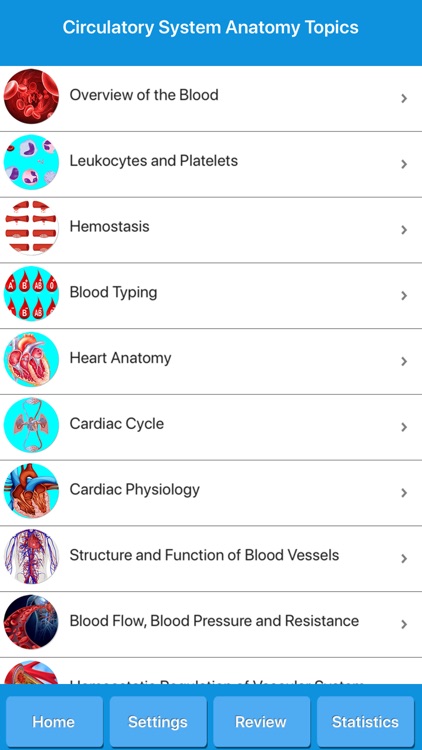 Circulatory System Anatomy