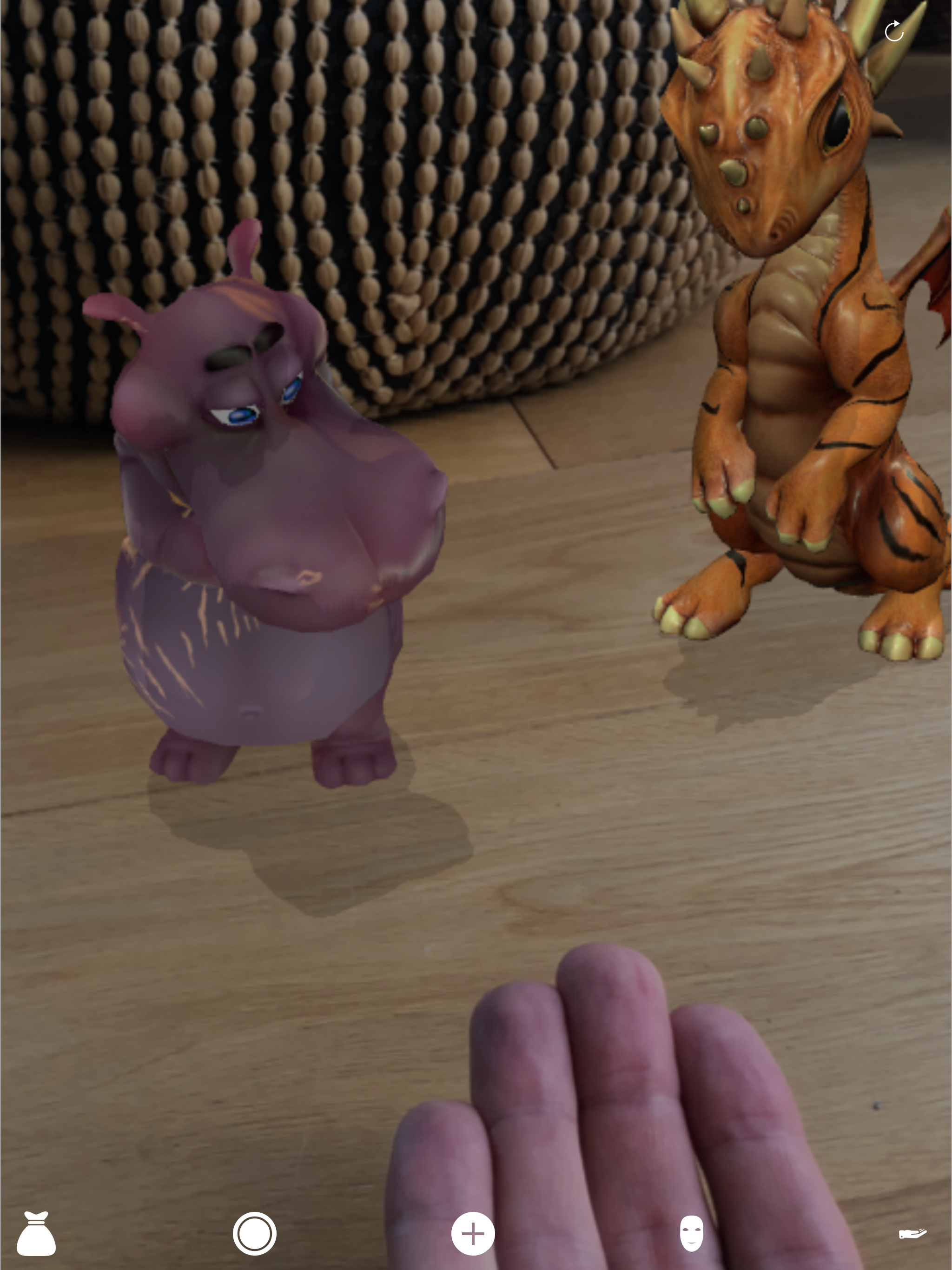 AR Dragon world: Imagipets