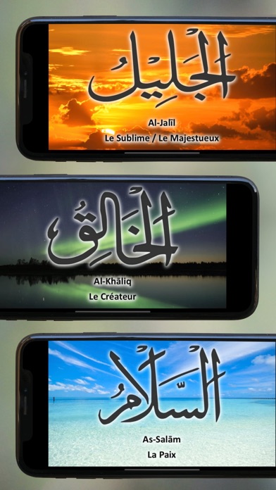 Screenshot #3 pour 99 Noms d’Allah