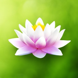 Garden Project Moments