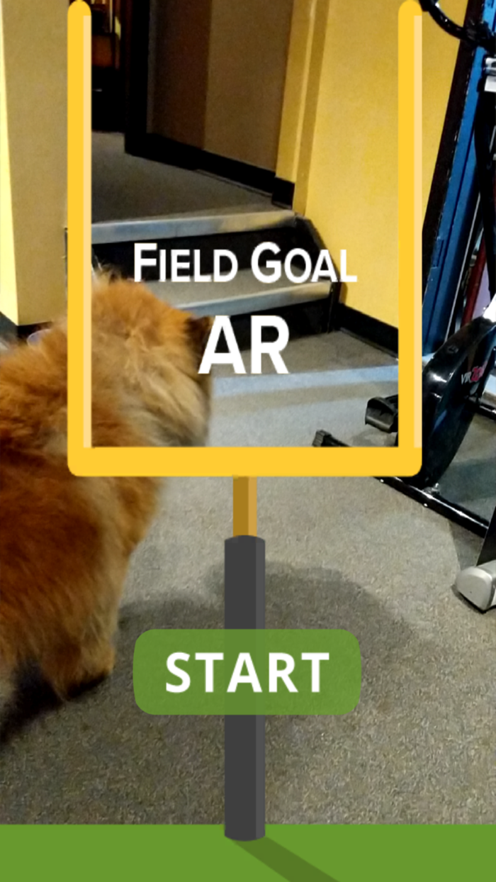 Field Goal AR