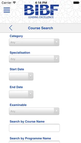 Game screenshot The BIBF hack