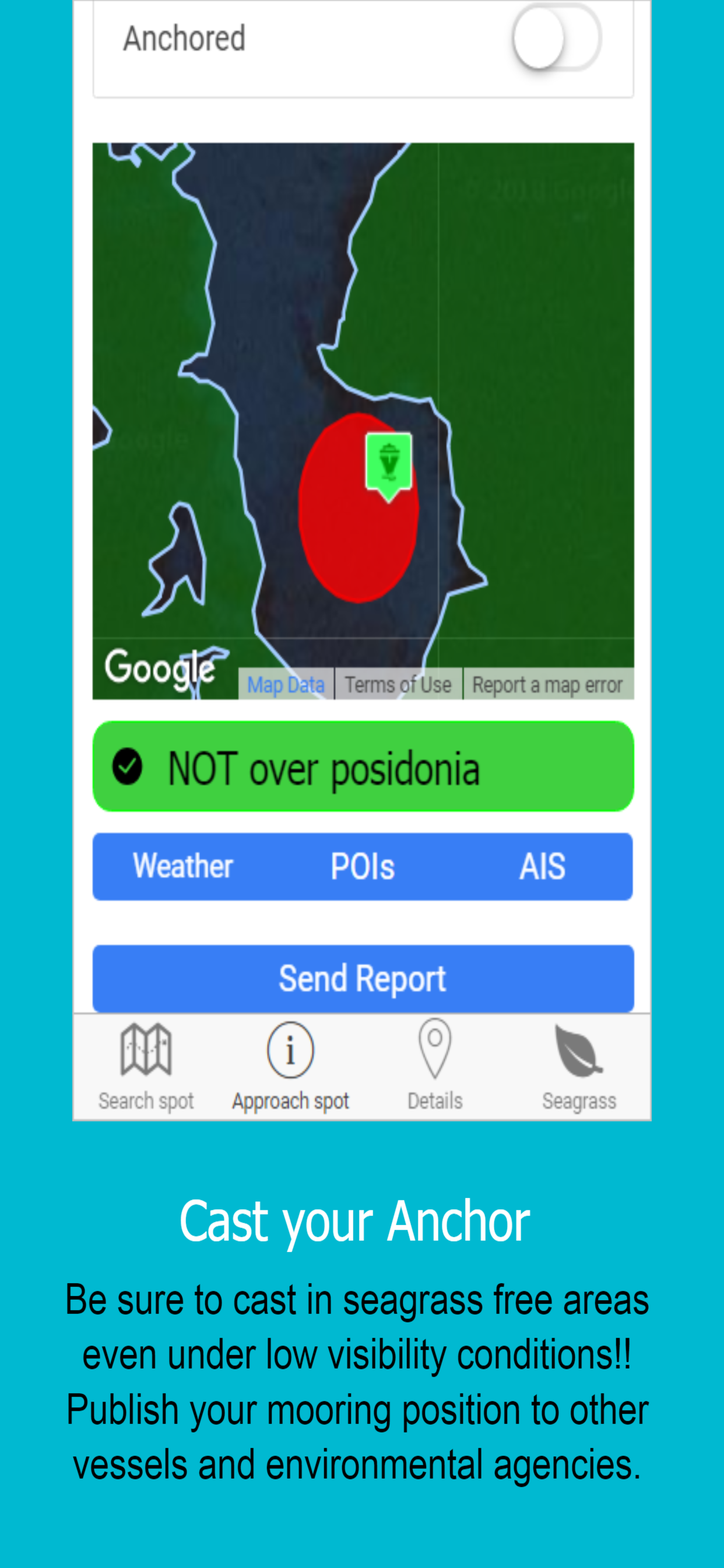 PosidoniaMaps