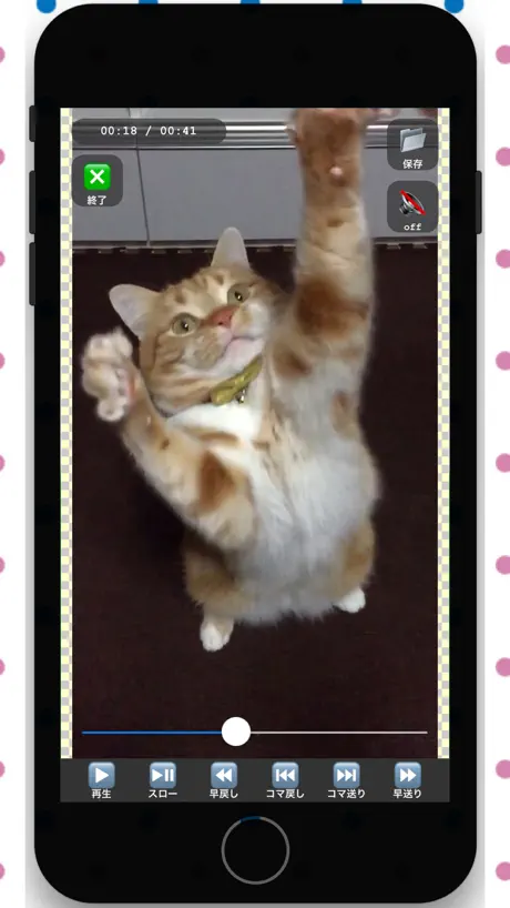 Movie >> Photo LITE