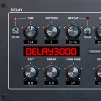 Delay3000 Vintage Modern logo