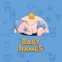 Baby Names (Pro) app download