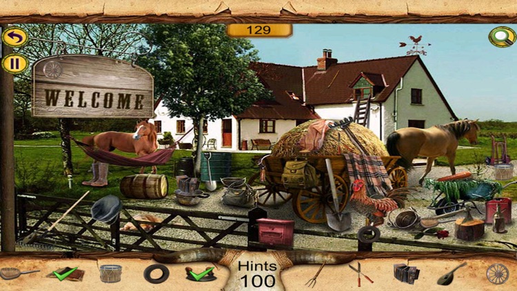 Hidden Objects : The Cow Boy