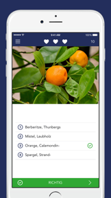 Früchte und Beeren PRO screenshot