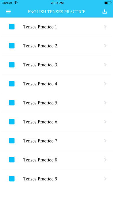 English Tenses Practice Screenshot