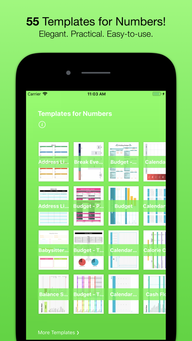 Templates for Numbers (Nobody) Screenshot