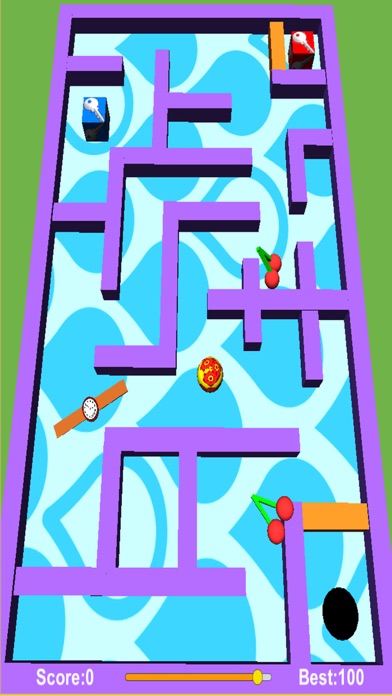 Mini Maze Pro screenshot 3