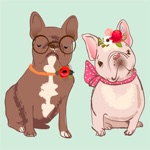 Download Pug French bulldog & Dachshund app