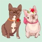 Pug French bulldog & Dachshund app download