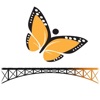 Bridge To Change - Life Coach icon